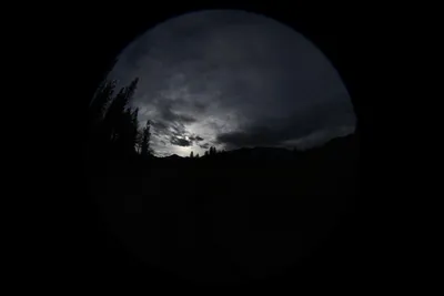 DSC_0046 (Large).JPG